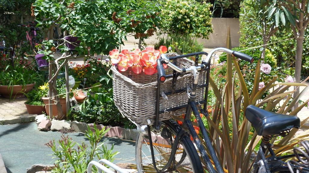 Cap D'Agde Studio - Village Naturiste Eksteriør billede